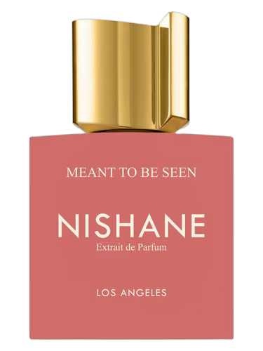 Meant To Be Seen Nishane 100ML